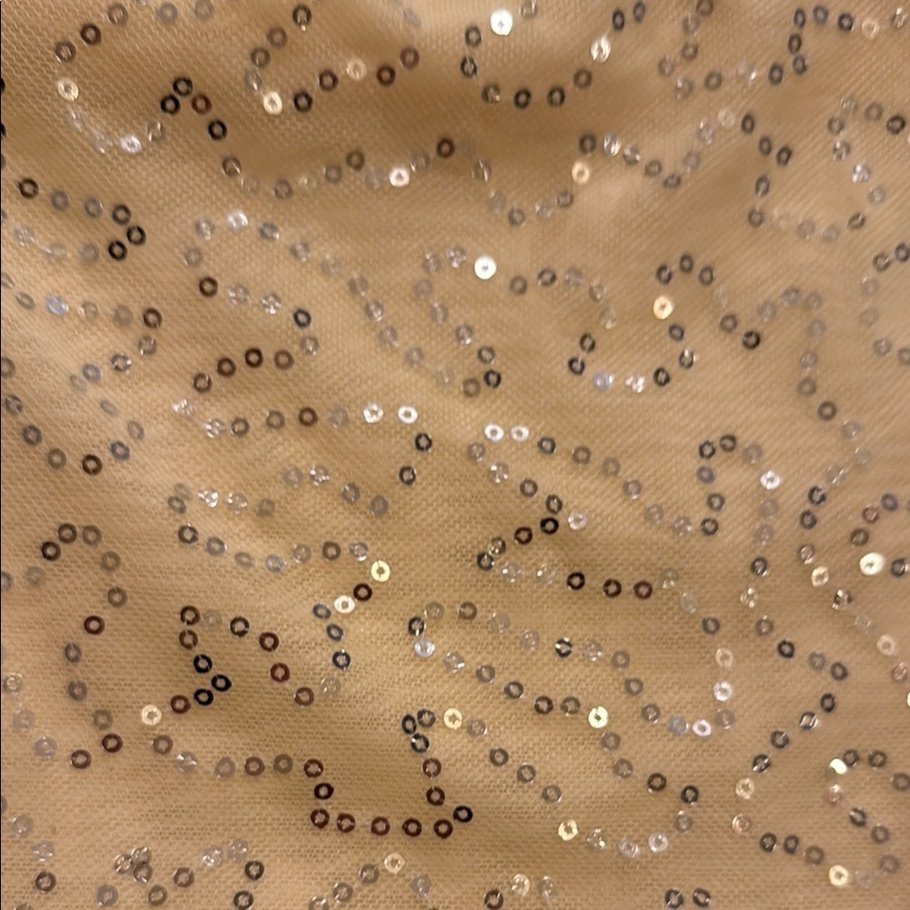 Elegant Silver Sequin Bandeau - Picture 7 of 10